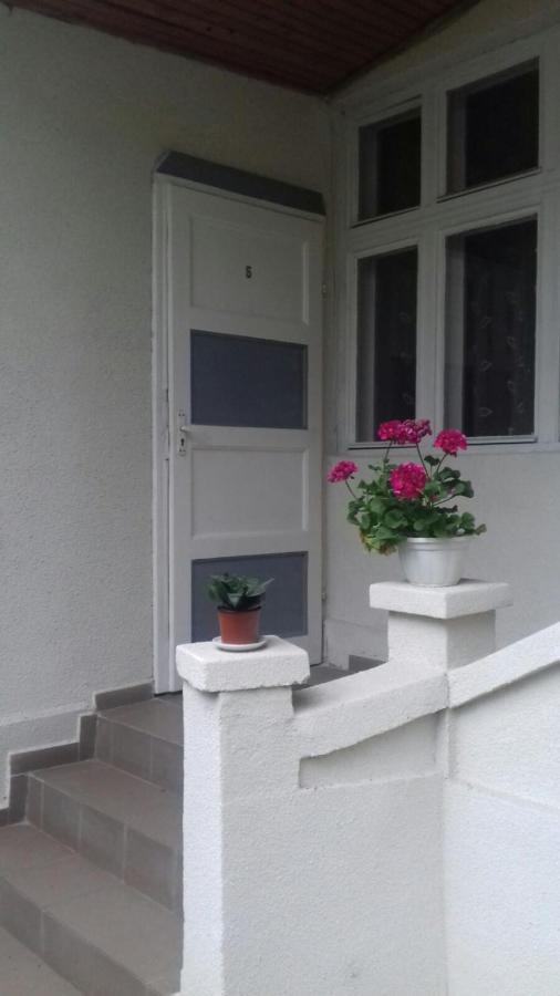 Gelena Гостьовий Двір Uzhhorod Exterior foto